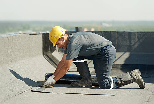 Best Professional Insulation Contractor  in North Baltimore, OH
